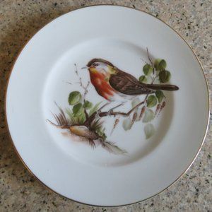 FENTON England Robin China Plate 8.25" Diameter (212C)